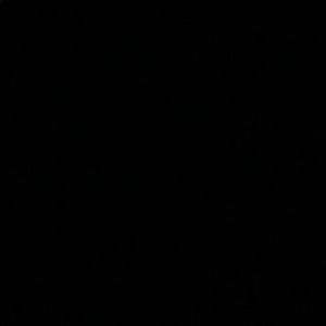 Meet your Posher, Adan